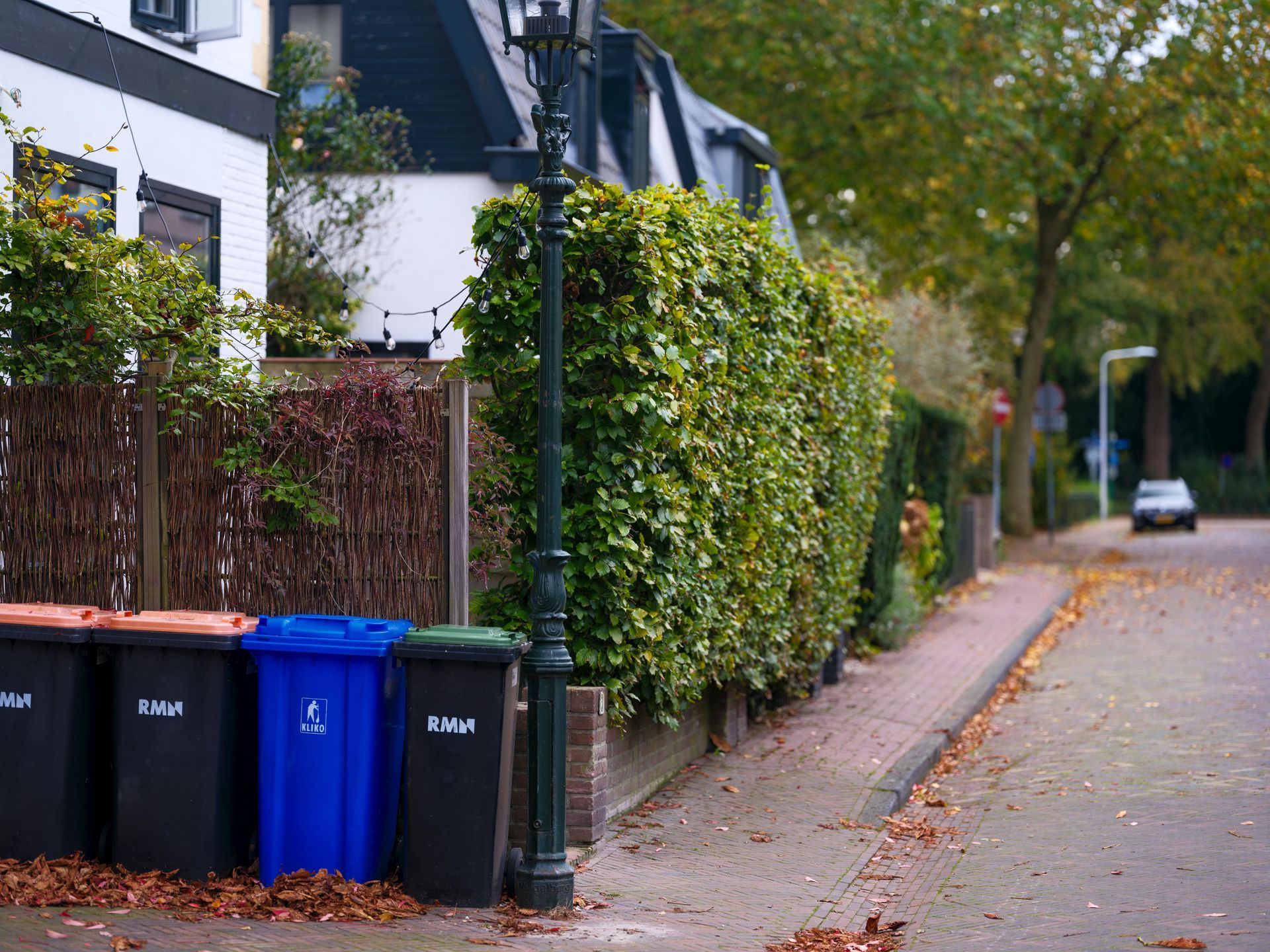 Quiet residential street with lined trash bins, hedges, and houses along the sidewalk