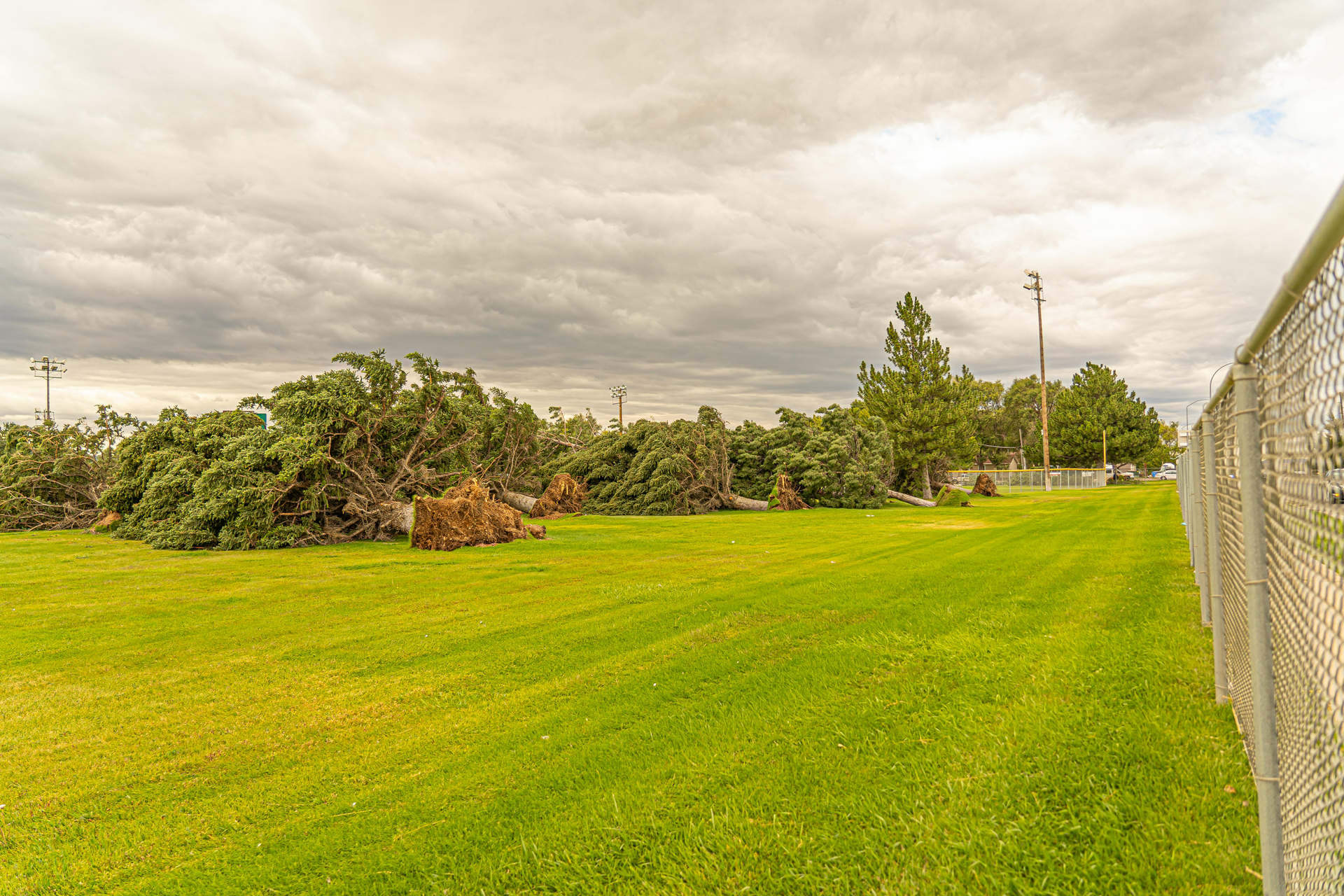 Grassy field beside a chain-link fence under a cloudy sky, with trees and shrubs in the distance.