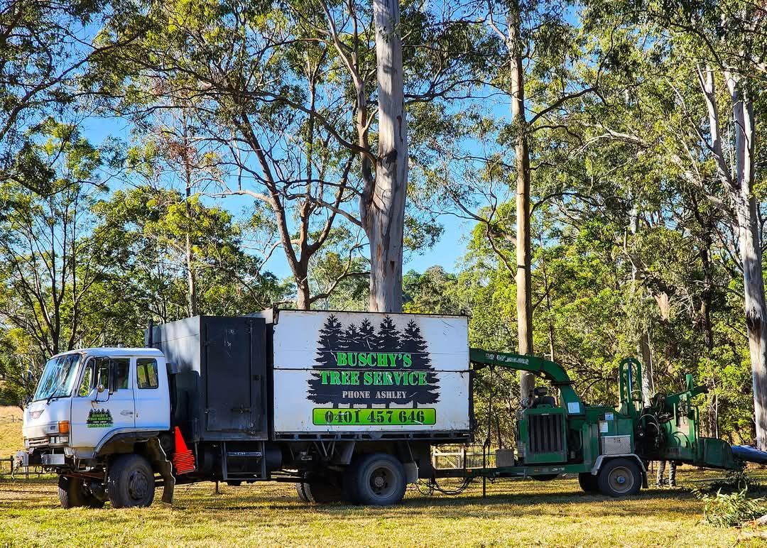 A white tree service truck with an attached wood chipper, parked in a sunny, wooded area.