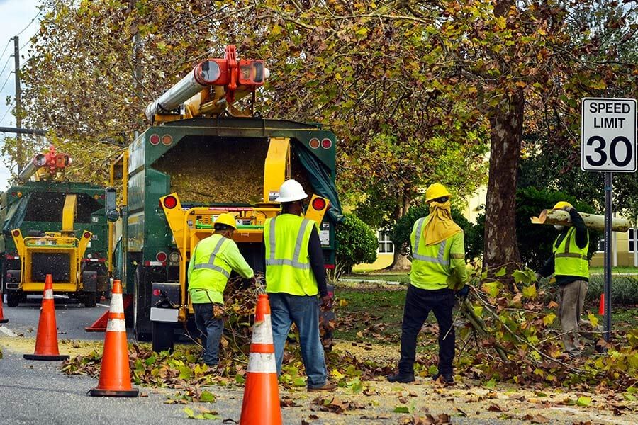 Tree Mulching — Tree Removals In Kempsey, NSW