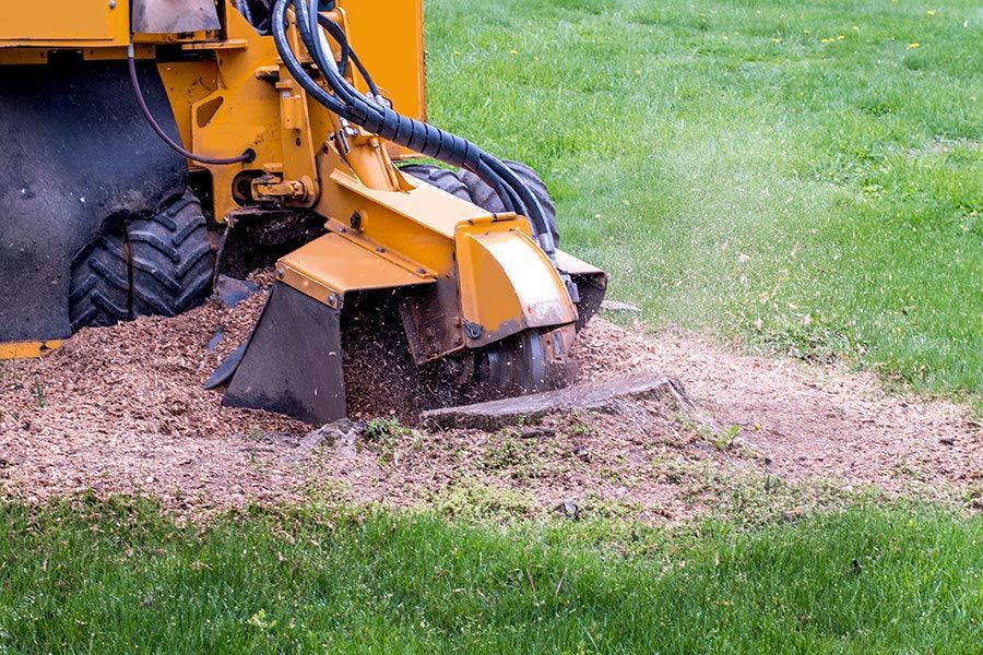Stump Grinding 2 — Tree Removals In Kempsey, NSW