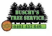 Tree Removals In Port Macquarie