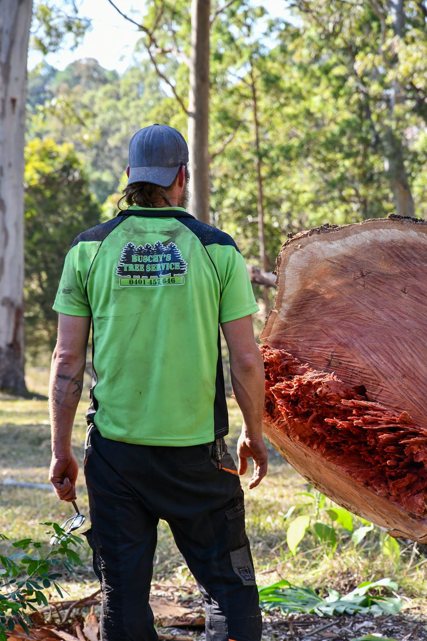 Tree Tipping — Tree Removals In Kempsey, NSW
