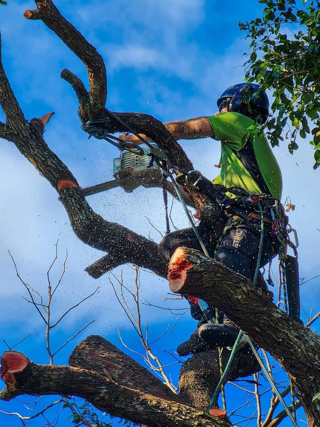 Company Trailer Truck — Tree Removals In Kempsey, NSW