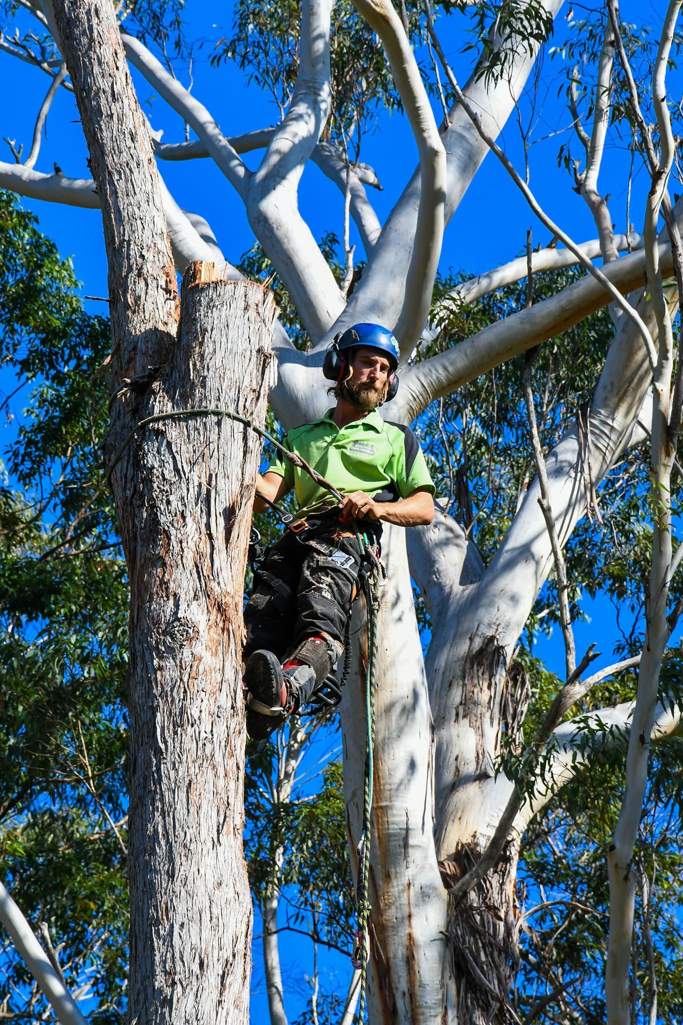 Tree Trimming — Tree Removals In Kempsey, NSW