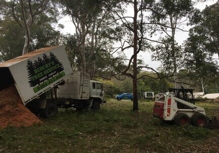 Tree Tipping — Tree Removals In Kempsey, NSW