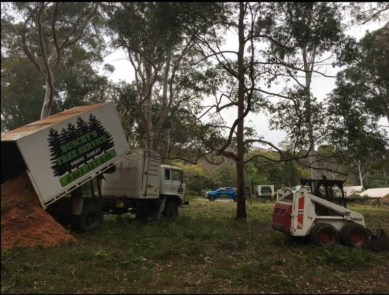 Tree Tipping — Tree Removals In Kempsey, NSW