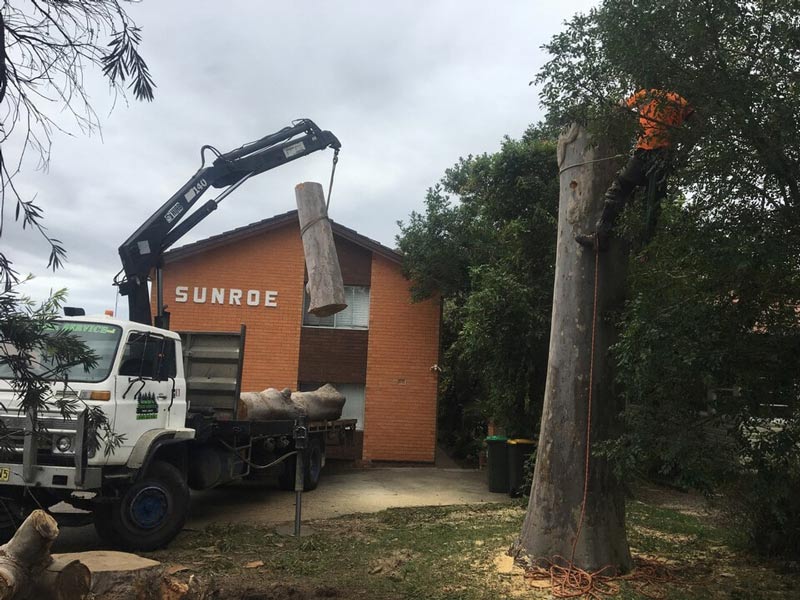 Tree Stump Heavy Lift — Tree Removals In Kempsey, NSW