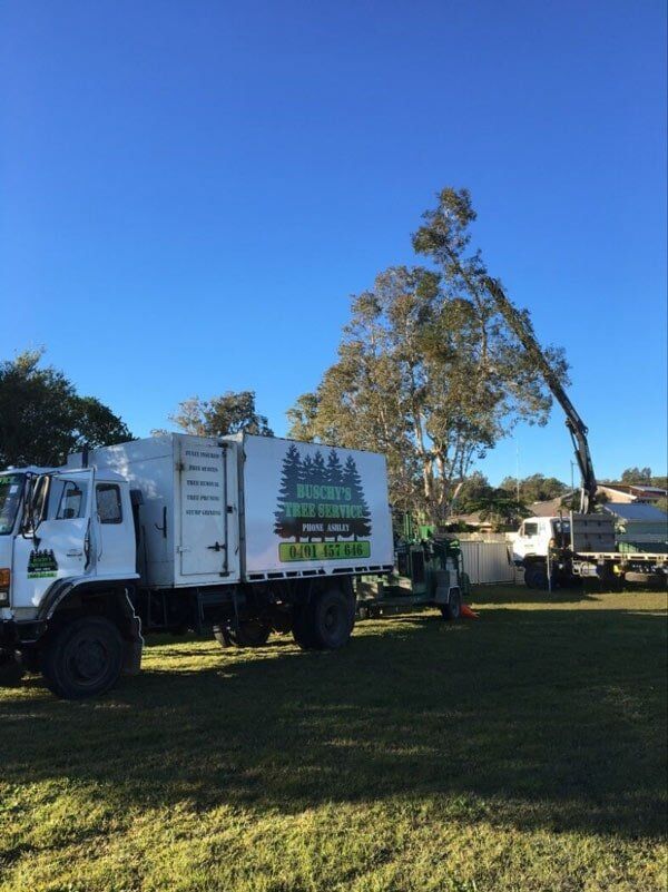 Tree Servicing — Tree Removals In Kempsey, NSW