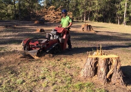 Stumper — Tree Removals In Kempsey, NSW