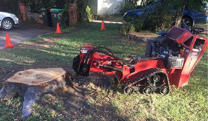 Stump Grinding — Tree Removals In Kempsey, NSW
