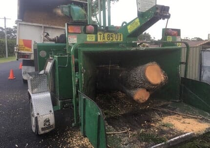 Mulching Tree Logs — Tree Removals In Kempsey, NSW