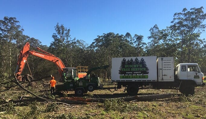 Land Clearing — Tree Removals In Kempsey, NSW