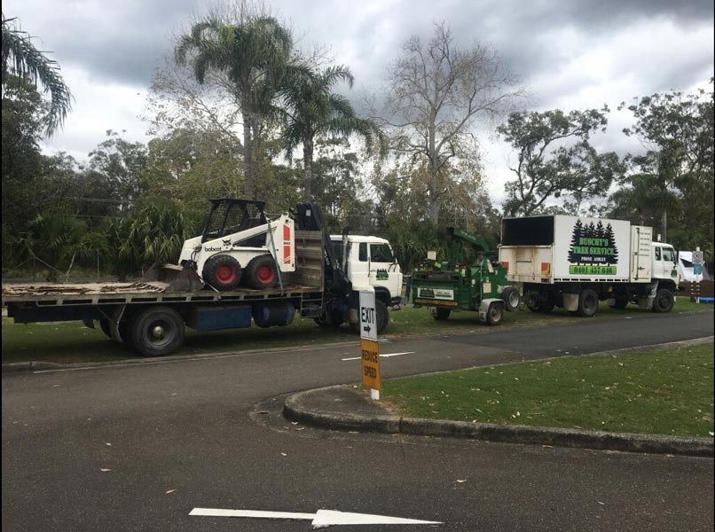 Full Equipment For Tree Services — Tree Removals In Kempsey, NSW