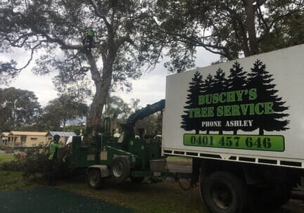 Company Trailer Truck — Tree Removals In Kempsey, NSW