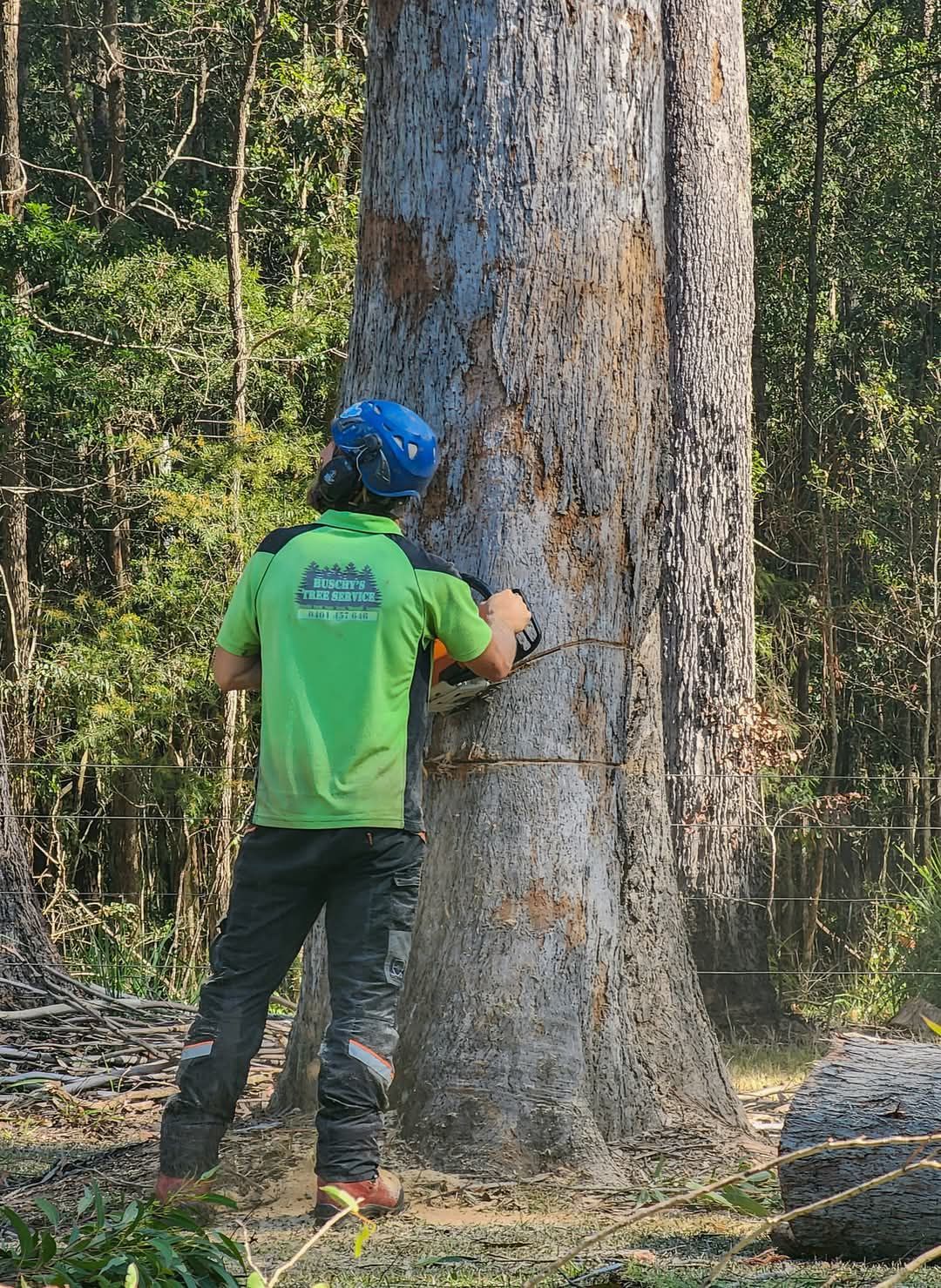 Tree Mulching — Tree Removals In Kempsey, NSW
