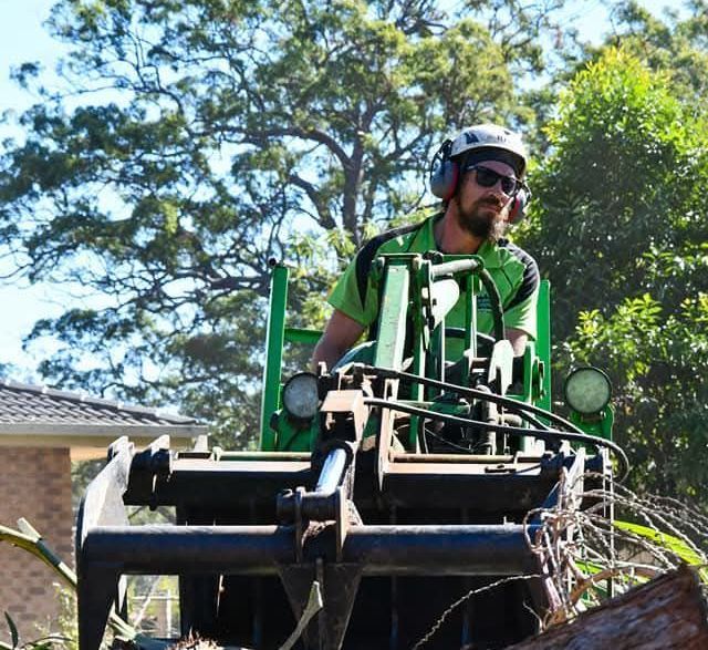 Stump Grinding — Tree Removals In Kempsey, NSW