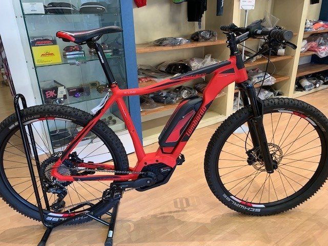 bicicletta a pedalata assistita