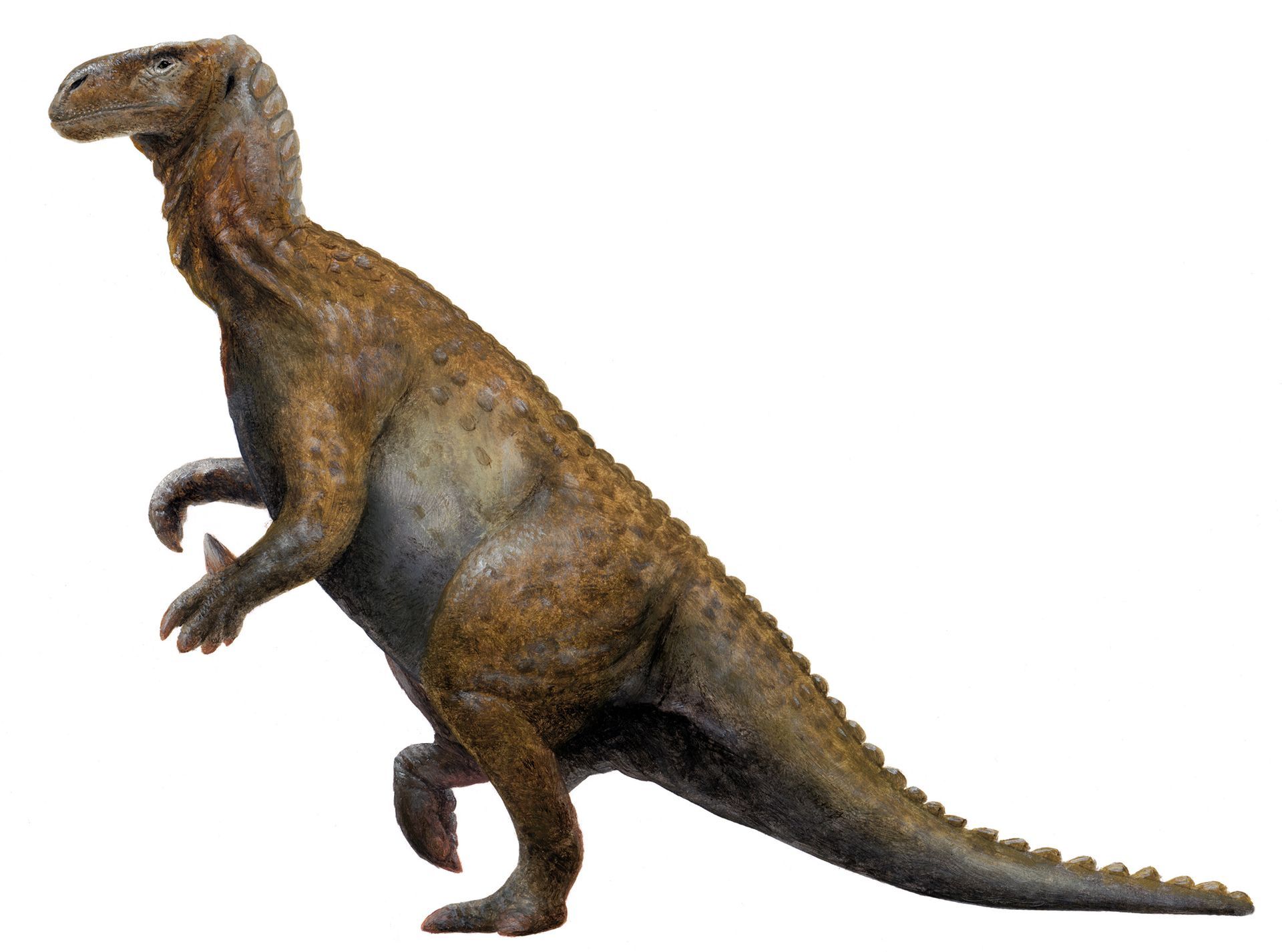 Iguanodon als Riesenkänguru