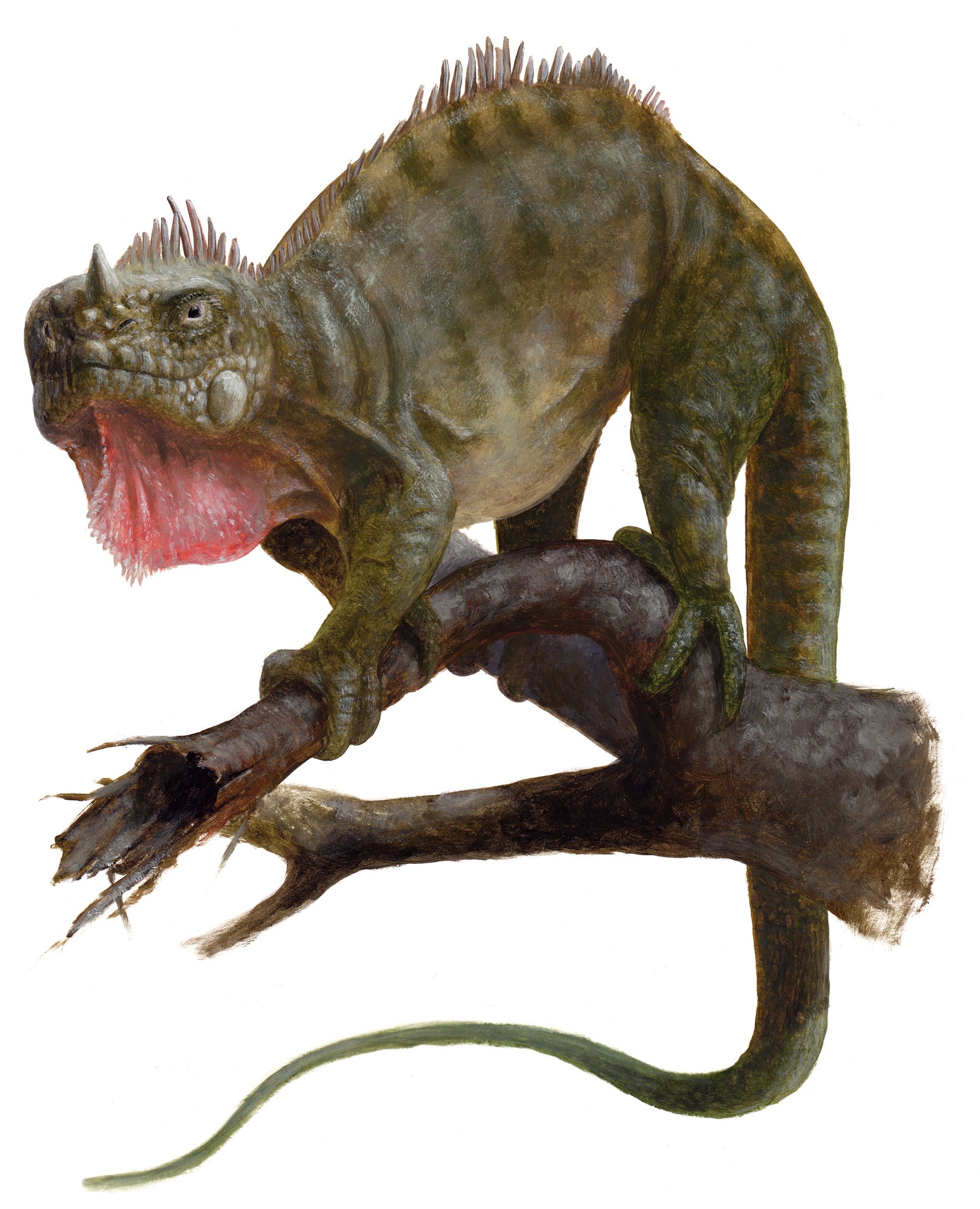 Iguanodon als Riesenleguan