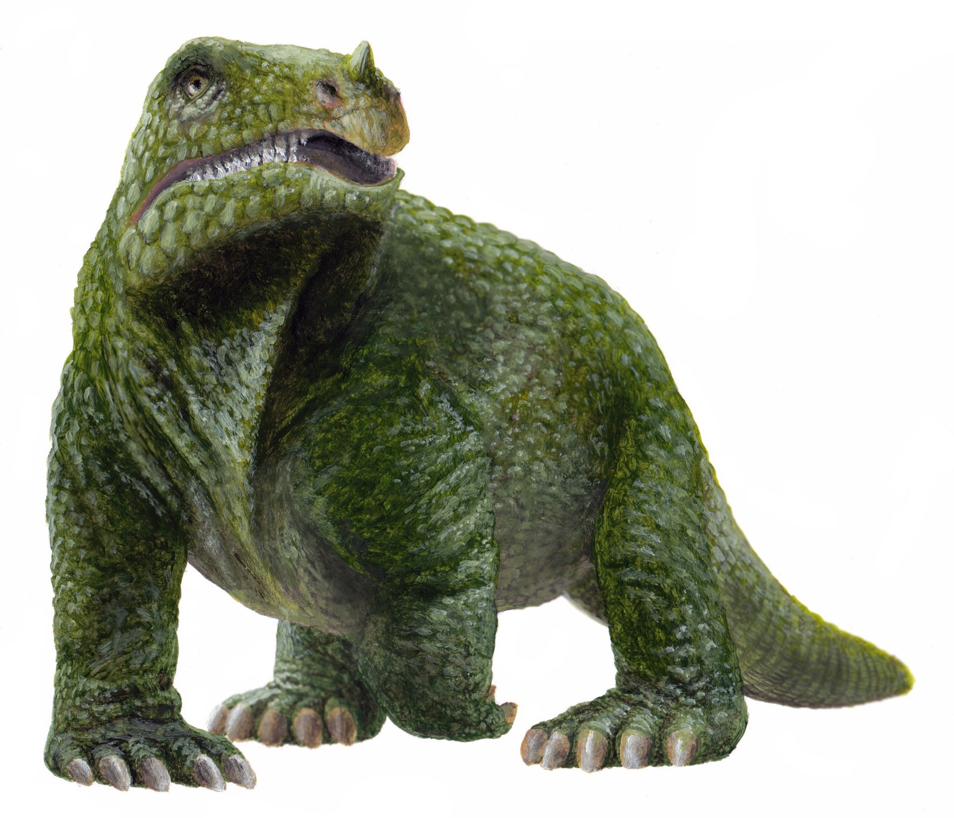 Iguanodon als dickhäutiges Reptil