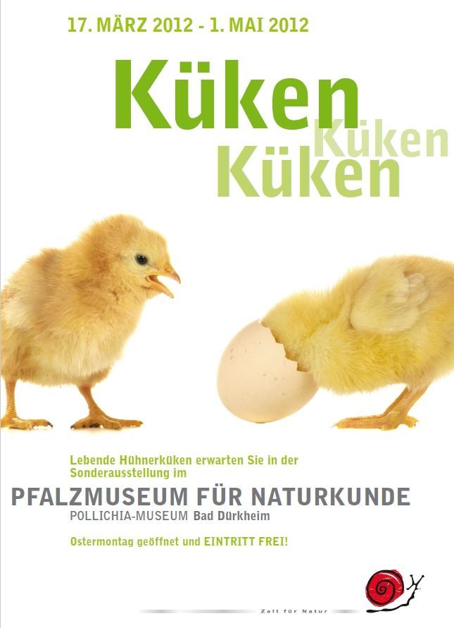 Ein Poster mit zwei Hühnerküken