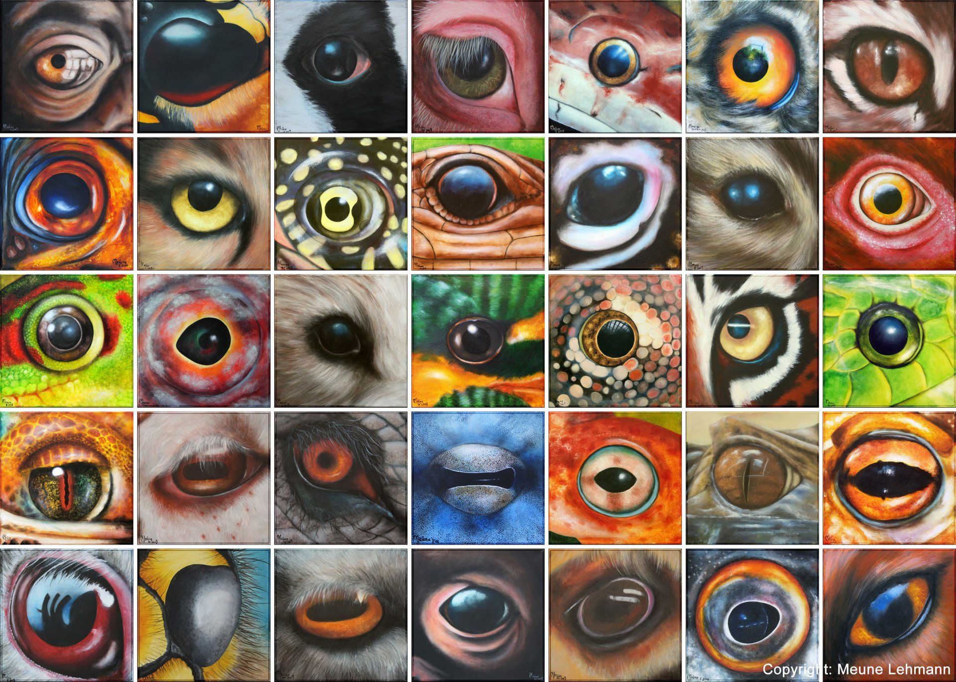 Eine Collage aus Bildern von Augen verschiedener Tiere