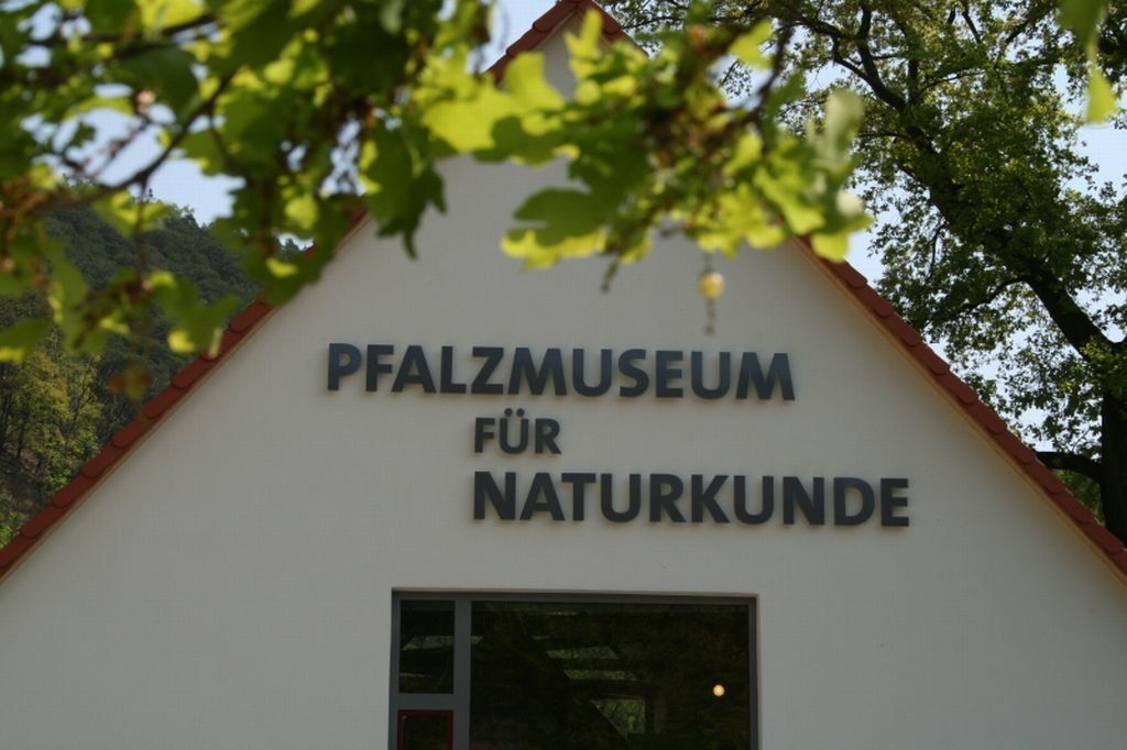 (c) Pfalzmuseum-online.de
