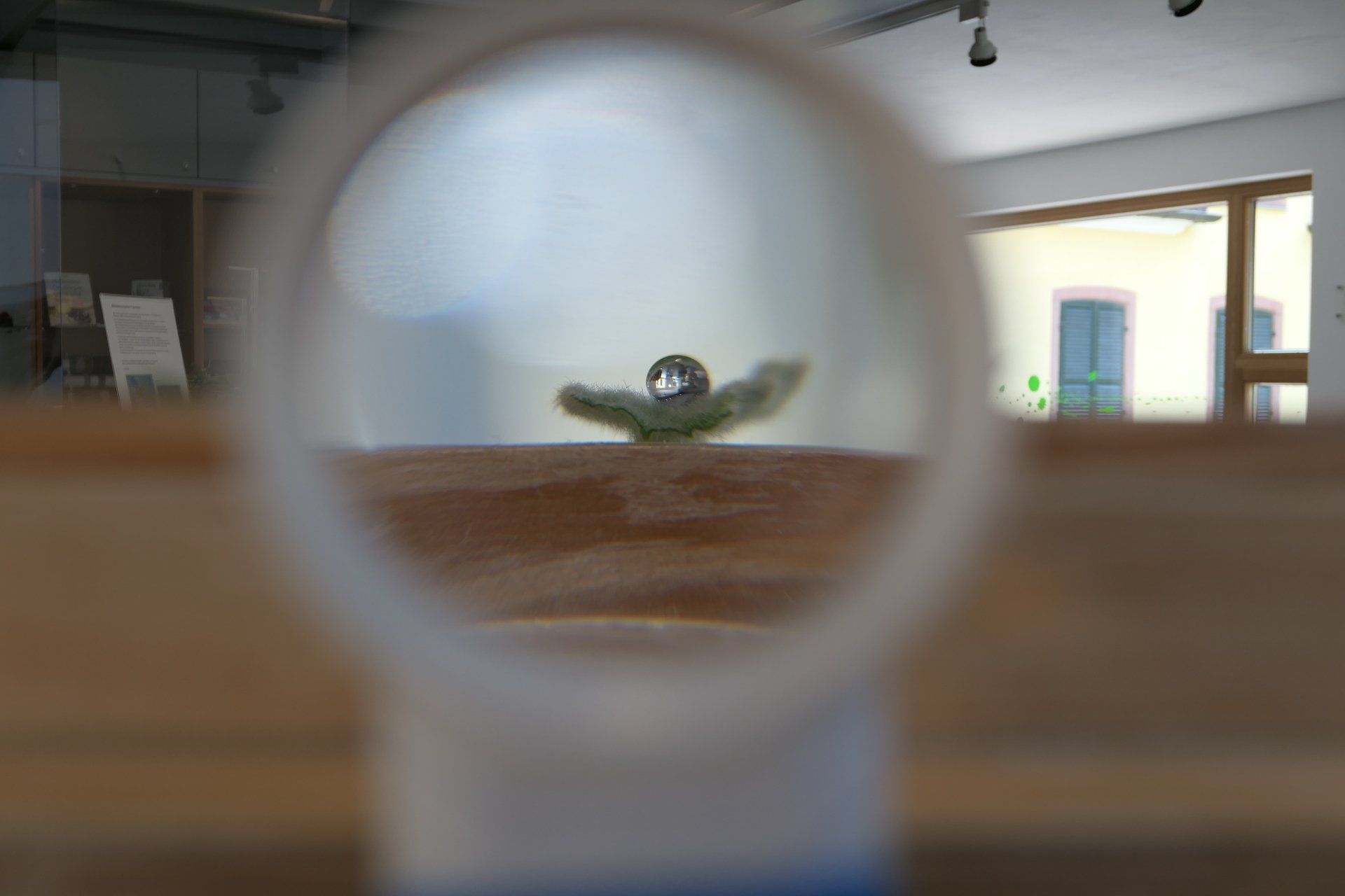 Tropfen auf Blatt durch Lupe betrachtet