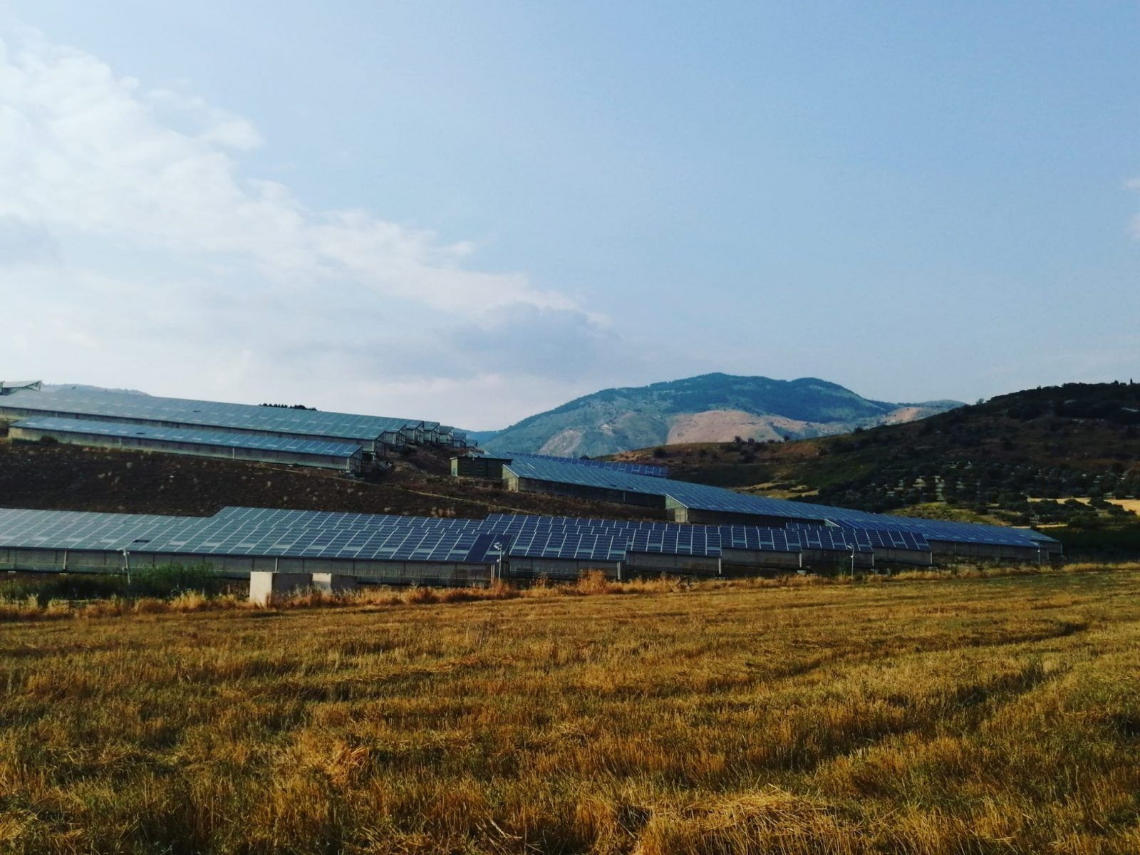 Pannelli solari su un campo in collina sotto un cielo azzurro.
