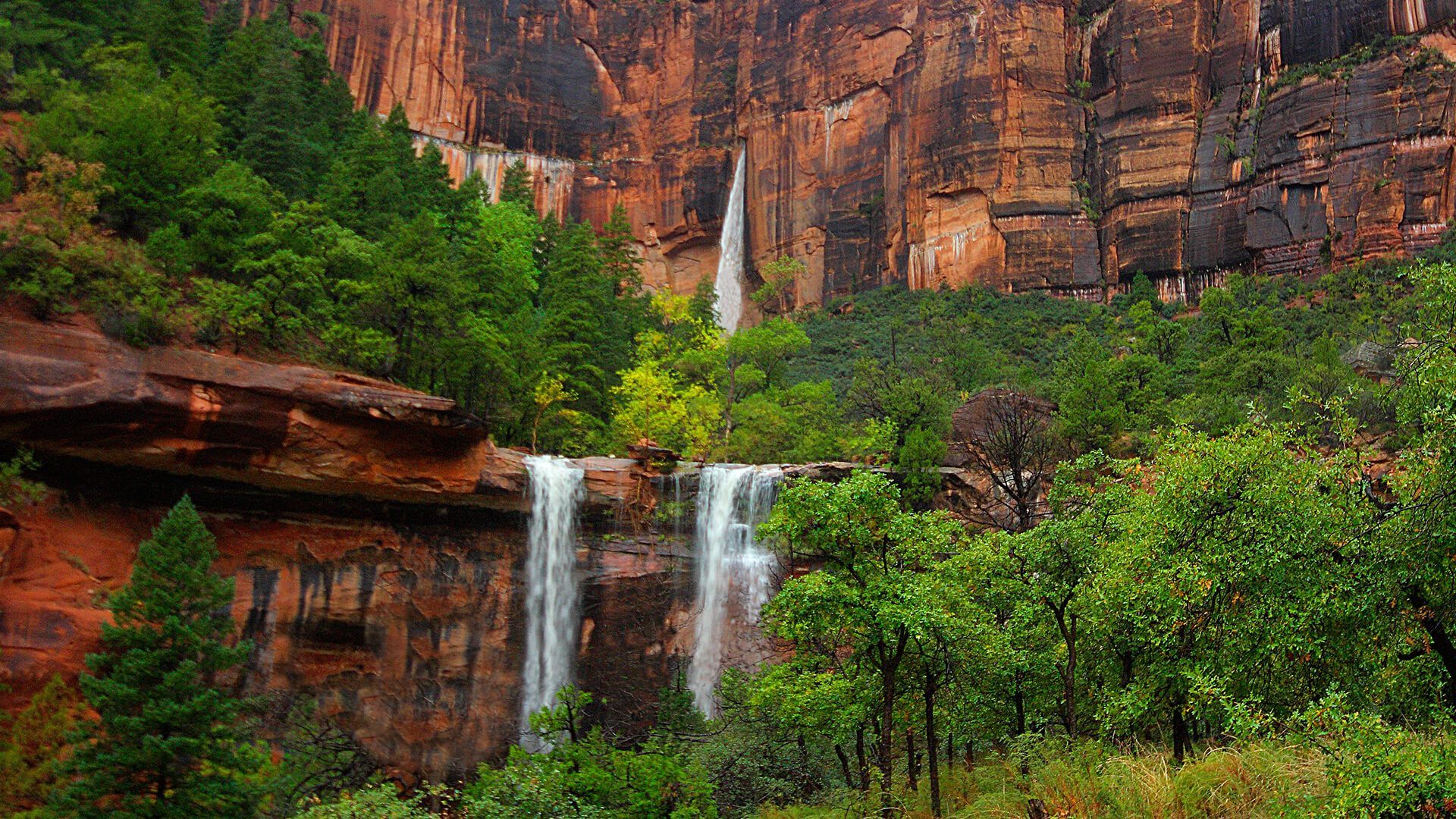 A group of people are standing in front of a waterfall in the woods.