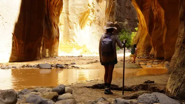 A woman is standing in a canyon next to a river.