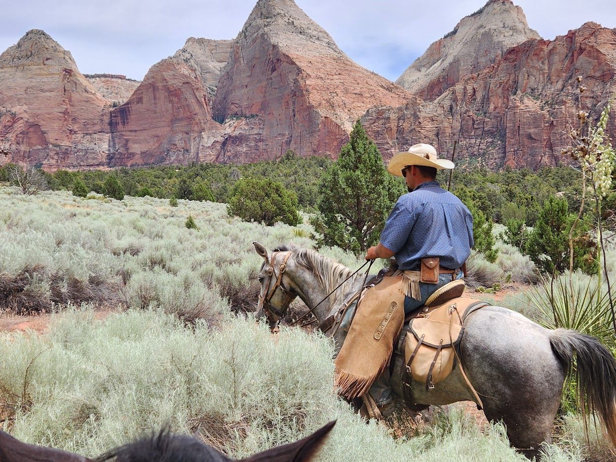 A man and a woman are riding horses in the desert.