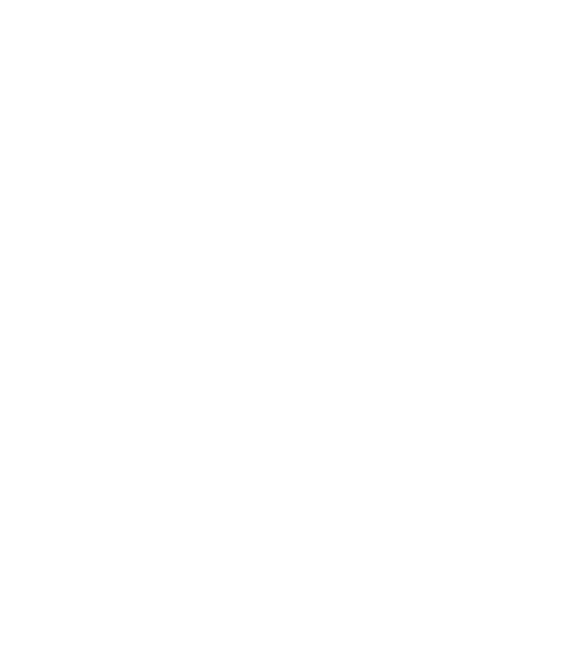 Un'immagine bianca vuota.