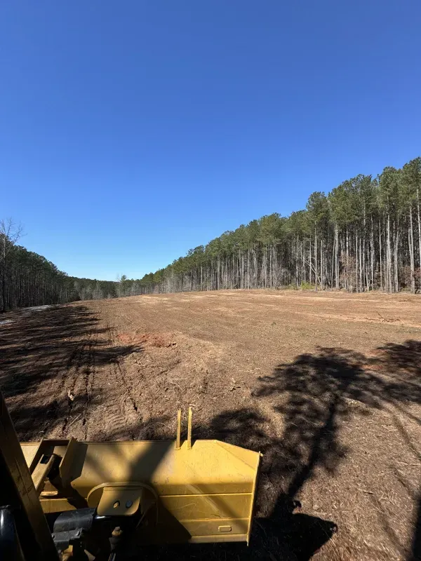 Clearing in a field, trees line sides under a blue sky. Yellow grading equipment is in the foreground.