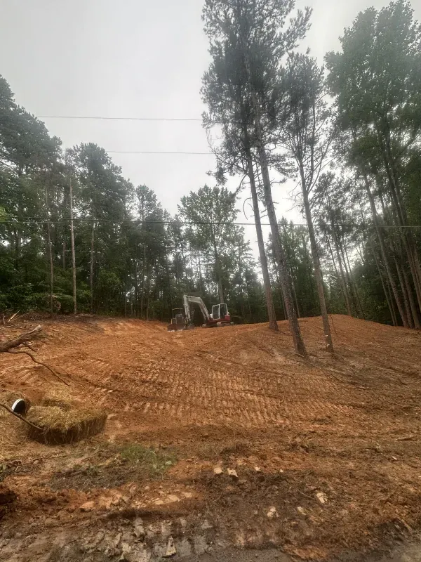 An excavator sits on a cleared, reddish-brown dirt lot, surrounded by tall trees under a cloudy sky.