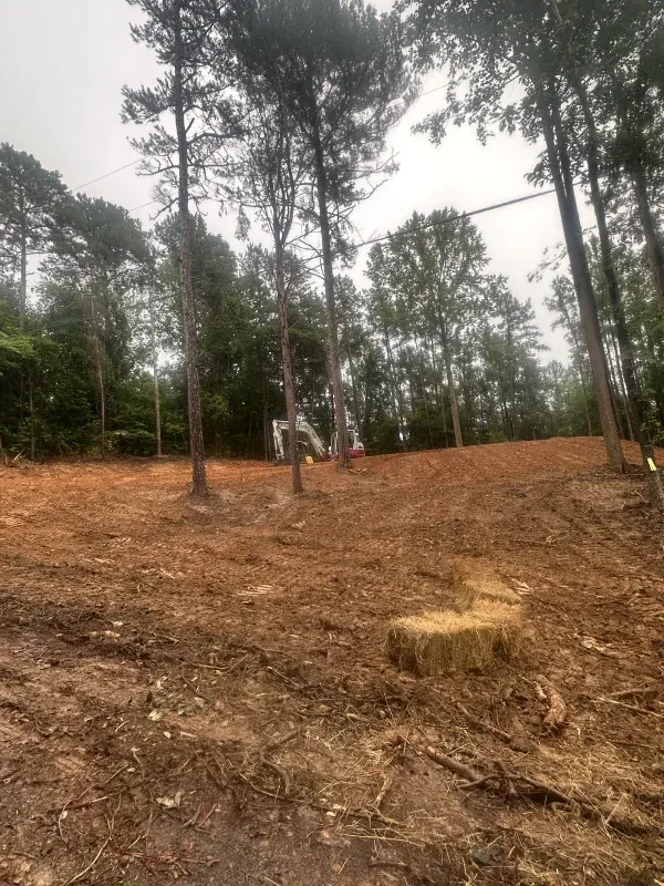 Cleared land with trees in background and a hay bale in the foreground.