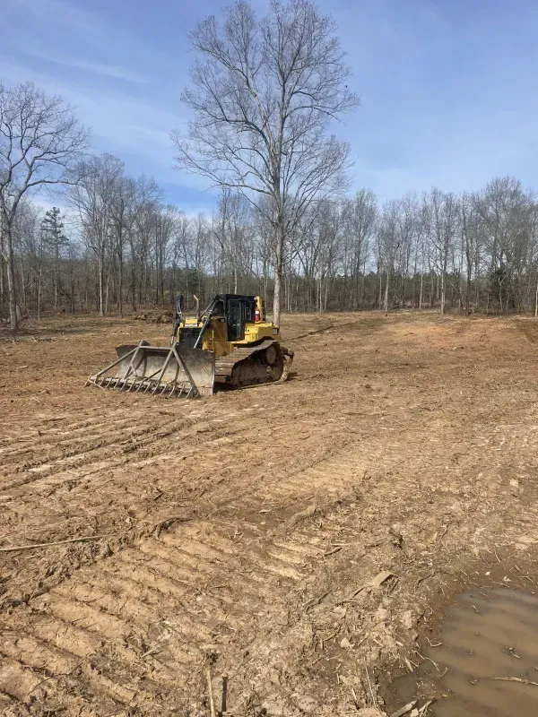 A bulldozer levels land in a cleared area with a tree line in the background on a sunny day.