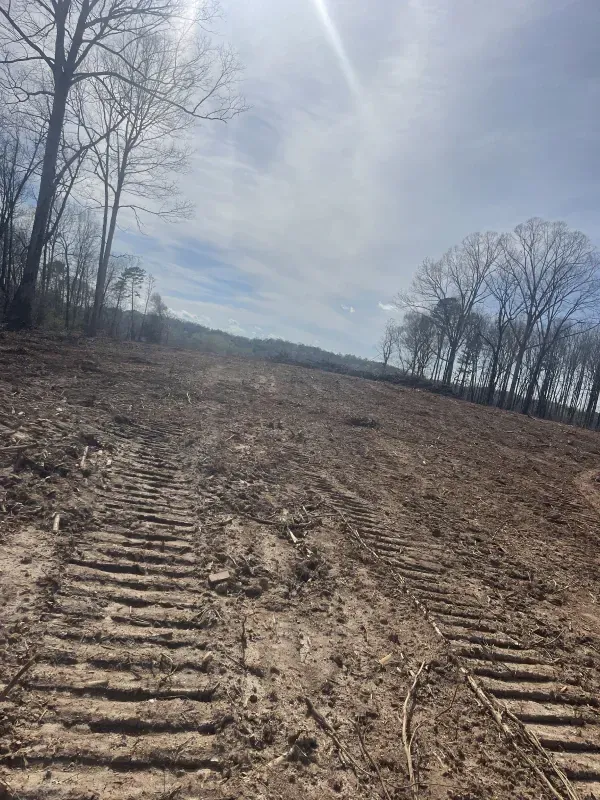 Cleared dirt field with tractor tracks, trees in the background, blue sky with clouds.