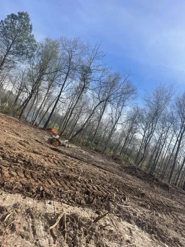 A cleared dirt lot on a hill with bare trees and a partially visible excavator under a blue sky.