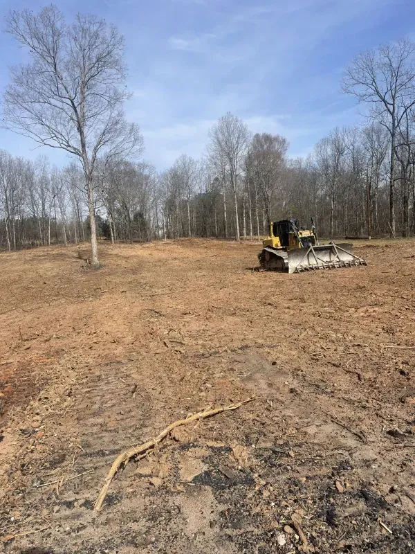 Bulldozer on a cleared field, trees in the background, under a blue sky.