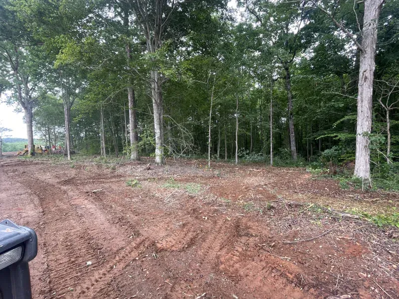 Dirt clearing in front of a line of trees with green foliage. Muddy ground with tire tracks. Overcast day.