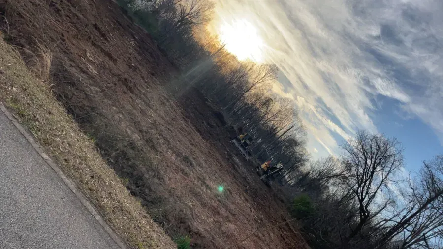 Sun shines through clouds over a field and bare trees beside a road.