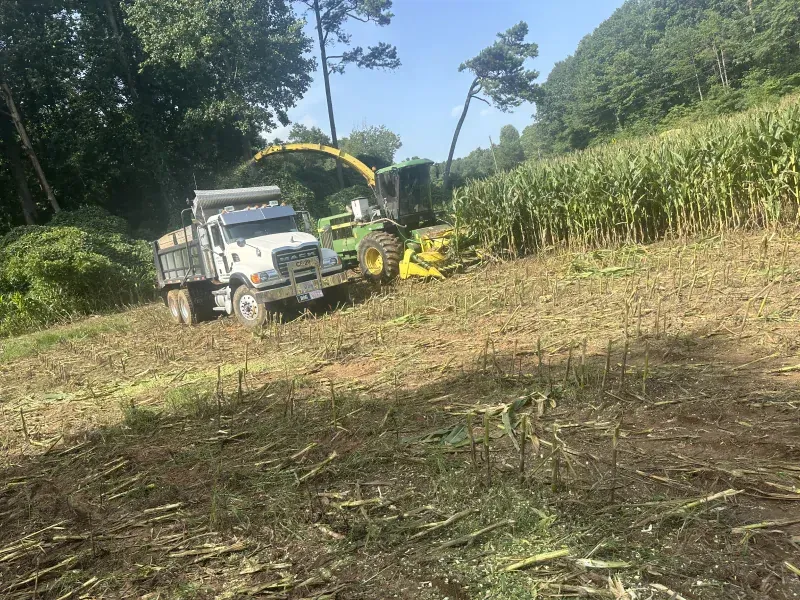 A green John Deere forage harvester chopping corn into a dump truck in a field on a sunny day.
