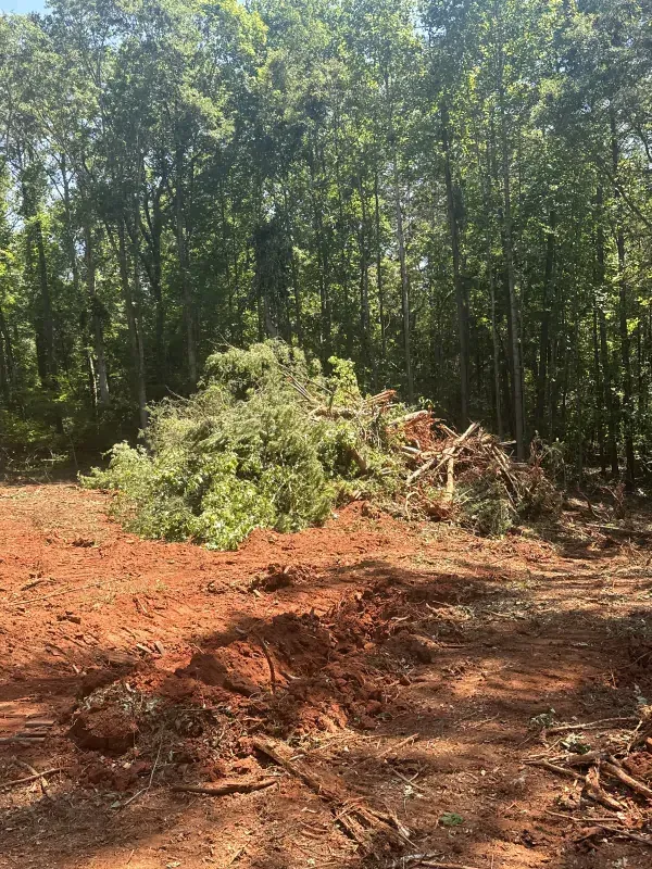 Pile of brush and roots on a red-dirt clearing, forest in the background.