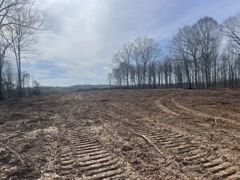 Clearing with tractor tracks in muddy dirt; bare trees line the horizon under a cloudy sky.