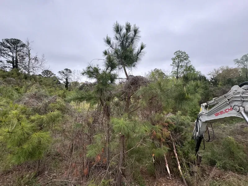 Yellow excavator clearing trees and debris in a forest setting.