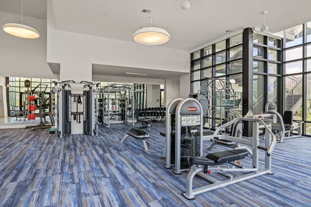 A large gym filled with lots of exercise equipment and a blue carpet at Water's Edge.