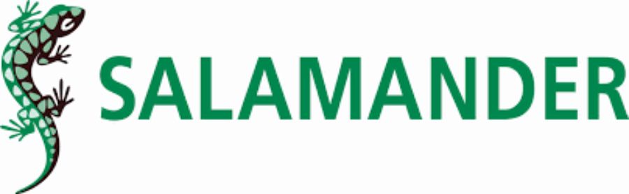 Salamander - Logo