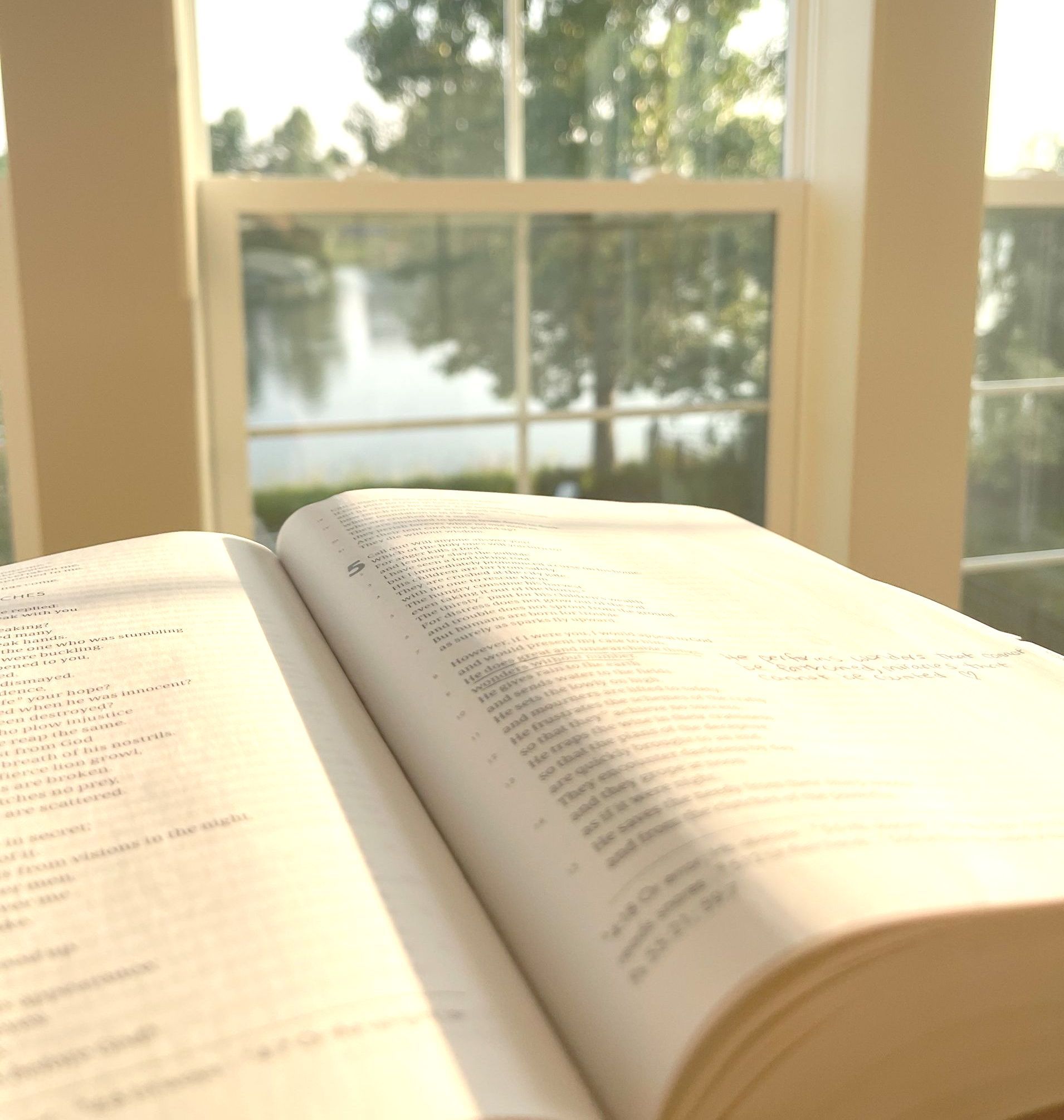 Camera is focused on an  open to the book of Job . The fuzzy background is white windows looking out on a lake with trees. Very peaceful sun setting tone.